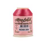 Hubrendy Tedarik Altınbaşak Oya Ve Dantel İpi 20 Gr - Royaleks - No: 858