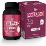 Hud Collagen Plus Powder 300 Gr Tip 1 - Tip 2 - Tip 3 Toz - --