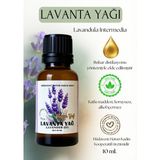 Hüdavent Hatun Kadın Kooperatifi Hüdavent Hatun Saf Lavanta Yağı 10 ml – Buhar Distilasyonu, Aromaterapi ve Rahatlama İçin