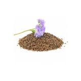 Hüdaverdi Arıcılık Arı Otu Tohumu Faselya 1 Kg