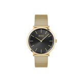 Hugo Boss HB1513909 Erkek Kol Saati
