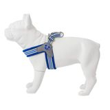 HUGO & HUDSON Kolay yürüyüş köpek koşum takımı, ayarlanabilir, çekmez, kraliyet mavisi, beden 2