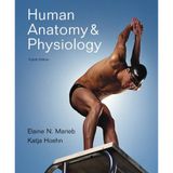 Human Anatomy & Physiology/ A Brief Atlas of the Human Body