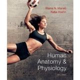 Human Anatomy & Physiology Plus A Brief Atlas of the Human Body Plus MasteringA&P with Pearson eText [Hardcover] [2012] 1 Ed. Elaine N. Marieb