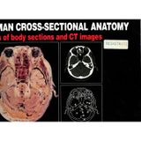 Human Cross-Sectional Anatomy: Atlas of Body Sections and Ct Images