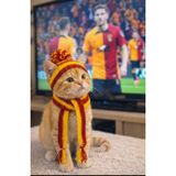HÜMANATURAL El Örgüsü Sarı Kırmızı Taraftar Kedi Şapkası ve Atkı Pet Aksesuarı