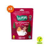 Humm Organic Humm Organik Vegan Zencefilli ve Tarçınlı Kurabiye 165 gr Şeker ve Koruyucu İçermez