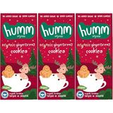 Humm Organic Organik Tarçınlı Zencefilli Kurabiye 3 x 55 gr
