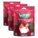 Humm Organic Organik Zencefilli Tarçınlı Vegan Kurabiye 1 Paket(55 Gr x 1 Adet) (3 paketi)