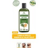 Hunca Biberiye ve Yulaf Özlü Şampuan Güçlü Saçlar ve Hızlı Saç Uzamasına Yardımcı 485 ml