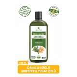 Hunca Care Biberiye ve Yulaf Özlü Şampuan, Güçlü Saçlar ve Hızlı Saç Uzamasına Yardımcı, 485 ml
