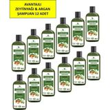 Hunca Care Zeytinyağı & Argan Özlü Şampuan, Saç Dökülmesine Karşı Yardımcı 485 ml 12 Li Paket