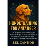 Hundetraining Für Anfänger: Wie Sie Ihrem Hund grundlegende Gehorsamkeit beibringen und Verhaltensprobleme reduzieren können, selbst wenn Sie zum ersten Mal einen Hund haben!: 1