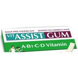 hünnap Vıt Assıst Gum Vitaminli Elma&limon Aromalı Sakız 12Lİ paket içi - 1 Adet