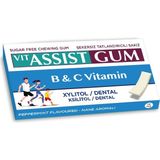 hünnap Vıt Assıst Gum Vitaminli Nane Aromalı Sakız 12 Li paket Iç Adeti - 1 Adet