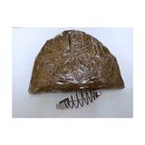 Hunter Eyes Hamur Yem 1 kg + Yaylı Kurşun Çupra-Levrek-Sazan-Alabalık Avı İçin Kahverengi Suni Yem
