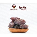 Hurma Kervanı Kudüs Duble Hurma 500GR - 500 gr