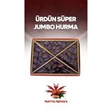 Hurma Kervanı Ürdün Süper Jumbo Kudüs Hurması 5 KG