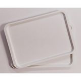 Hürsan Group 2li Büyük Boy Plastik Fastfood Yemekhane Servis Tepsisi(53×37)Cm - 2 Adet
