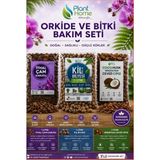 Hüskon Ticaret Plant Home Ithal Çam Kabuğu, Kil Bilyesi ve Cocohusk İçeren Profesyonel Orkide Toprağı Değişim Seti