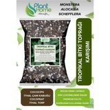 Hüskon Ticaret Plant Home Tropikal Bitki Toprağı Karışımı 5 Litre Monstera Alocasia Schefflera İçin Sinek Yapmayan Formül
