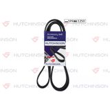 Hutchinson KANALLI 5 KAYIŞ P306-PARTNER-BERLINGO-XSARA-ZX 1.1-1.4 TOYOTA AVENSIS 2.0D4D 165 2003-2006 COROLLA 2.0D4D 165 2004-2005 5750 C8