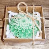 Huzur Soap Huzur Sabun, Krizantem Çiçek Desenli Hediyelik ve Doğal El Yapımı Kokulu Sabun (Beyaz ve Yeşil)