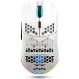 HXSJ T66 Kablosuz 3 Modlu Mouse - 650 Mah Batarya -12000 Fps - 20G - Rgb Aydınlatma - Beyaz