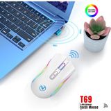 HXSJ T69 Kablosuz Rgb 4800 Dpı Oyuncu Mouse - 650 Mah Yüksek Kapasiteli Batarya - Beyaz