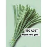 hyc heryerçiçeklenir 100 Adet Ada Çayı Yeşili Şönil, Çiçek Yapımına Uygun Tüylü Tel, 30 Cm 6 Mm