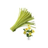hyc heryerçiçeklenir 25 Adet Açık Sarı Renkli Şönil, Çiçek Yapımına Uygun Tüylü Tel, 30 Cm 6 mm