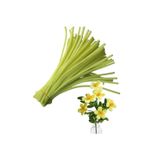 hyc heryerçiçeklenir 50 Adet Açık Sarı Şönil, Çiçek Yapımına Uygun Tüylü Tel, 30 Cm 6mm