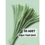 hyc heryerçiçeklenir 50 Adet Ada Çayı Yeşili Şönil, Çiçek Yapımına Uygun Tüylü Tel, 30 Cm 6 Mm