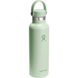 Hydro Flask Standard Kapak Termos 621 ml (21 Oz) - Aloe Yeşil - 620 ml