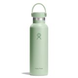 Hydro Flask Standard Kapak Termos 621 ml (21 Oz) - Aloe Yeşil