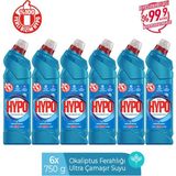 Hyper Hypo Ultra Kıvamlı Çamaşır Suyu Okaliptus 750 gr x 6 Adet - 1 lt