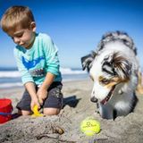 Hyper Pet Tenis Oyun Topu Yeşil 4'Lü Paket (Orta Boy)