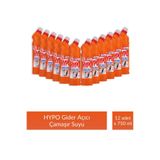 Hypo GİDER AÇICI ÇAMAŞIR SUYU ÇAM TAZELİĞİ 750 GR x 12 ADET