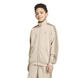 HZ6646-C adidas Fırebırd Lo Tt Çocuk Ceket Bej