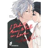 I Didn't Mean to Fall in Love - double: Fortsetzung des erotischen Yaoi-Einzelbands ab 18 über große Gefühle