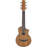 Ibanez EWP14WB-OPN EWP Serisi Akustik Gitar