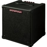 Ibanez P20-U 20 w Kombo Bas Gitar Amfisi