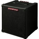 IBANEZ Promethean elektro bas combo amplifikatör 20 W @8Ω - 1 x 20,3 cm hoparlör (P20)