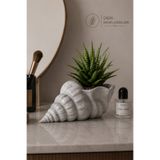 İBERİALHOME Dekoratif Deniz Kabuğu Vazo | Modern Deniz Temalı Saksı | Konsol ve Banyo Dekoru