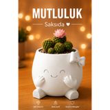 İBERİALHOME Dekoratif Gülümseyen Yüz Saksı | Sevimli Sukulent ve Kaktüs Saksısı | Modern Masa Üstü Çiçek Saksısı | Ev & Ofis Dekorasyonu