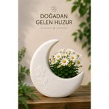 İBERİALHOME Luna Ay Dekoratif Vazo | Modern Çiçek Vazosu | Minimal Ay Şeklinde Vazo | Papatya Pampas Yapay Çiçek Vazosu | Salon Ev Dekorasyonu