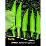 İBK İklim Bahçe Bamya Tohumu Toros Sultani - 10 g (~ Takribi 100 Tohum)