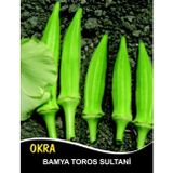 İbk İklim Bahçe Bamya Tohumu Toros Sultani - 25G (~ 250 Tohum)