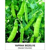 İBK İklim Bahçe Bezelye Tohumu Tırabi Yaprak - 50g