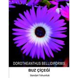 İBK İklim Bahçe Buz Çiçeği Tohumu 1- MESENBRYANTHEMUM ALBATUM (~ Takribi 40 Tohum)